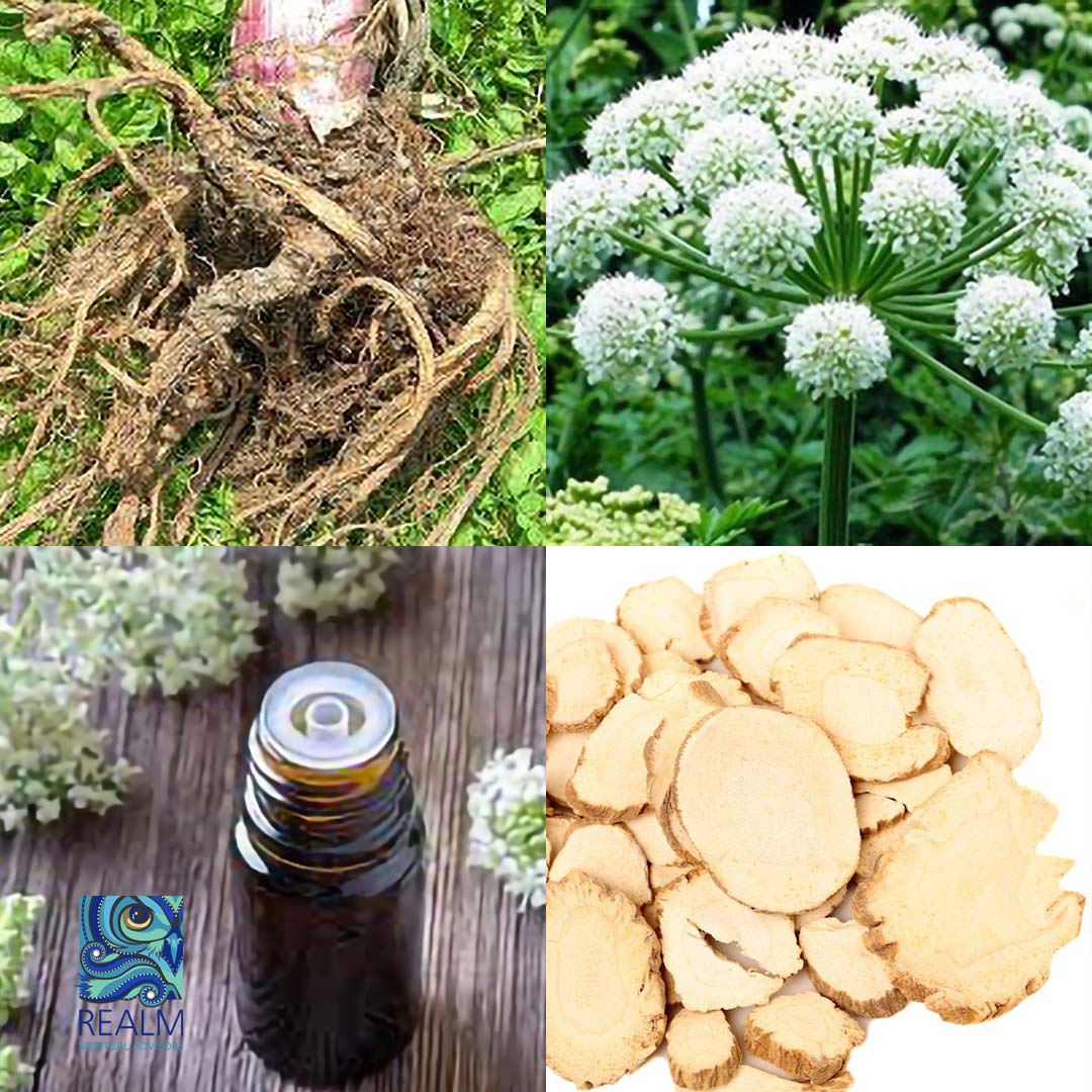 REALM Angelica Essential Oil